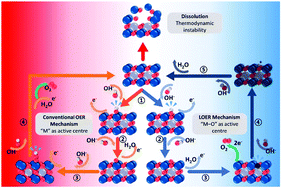 Graphical abstract: Oxygen evolution reaction activity and underlying mechanism of perovskite electrocatalysts at different pH