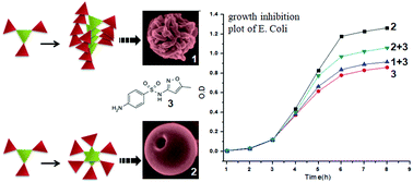 Graphical abstract: Self-assembly pattern directed sustained release from porous microspheres of discotic tripeptides