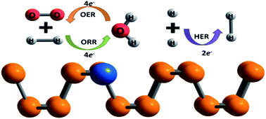 Graphical abstract: Unraveling the single-atom electrocatalytic activity of transition metal-doped phosphorene