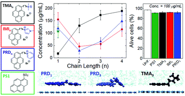 Graphical abstract: Stable, concentrated, biocompatible, and defect-free graphene dispersions with positive charge