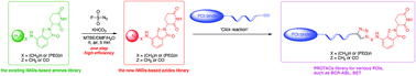 Graphical abstract: Construction of an IMiD-based azide library as a kit for PROTAC research