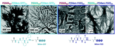 Graphical abstract: Nano-assemblies with core-forming hydrophobic polypeptide via polymerization-induced self-assembly (PISA)