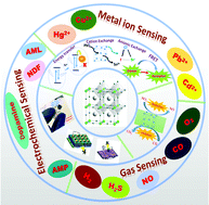 Graphical abstract: Perovskite nanomaterials as optical and electrochemical sensors