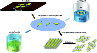 Graphical abstract: Two dimensional semiconducting polymers