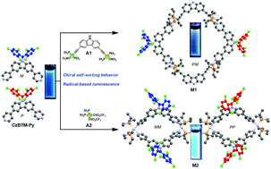 Graphical abstract: Facile construction of well-defined radical metallacycles through coordination-driven self-assembly