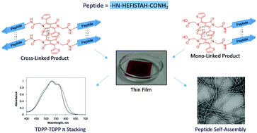 Graphical abstract: Directed self-assembly of peptide–diketopyrrolopyrrole conjugates – a platform for bio-organic thin film preparation