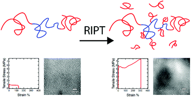 Graphical abstract: Controlling nanostructure and mechanical properties in triblock copolymer/monomer blends via reaction-induced phase transitions