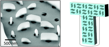 Graphical abstract: Orienting and shaping organic semiconductor single crystals through selective nanoconfinement