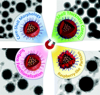 Graphical abstract: Polymer-encapsulation of iron oxide clusters using macroRAFT block copolymers as stabilizers: tuning of the particle morphology and surface functionalization