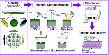 Graphical abstract: Tailoring the dissolution rate and in vitro cell response of silicon nitride coatings through combinatorial sputtering with chromium and niobium