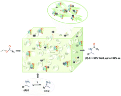 Graphical abstract: Artificial plant cell walls as multi-catalyst systems for enzymatic cooperative asymmetric catalysis in non-aqueous media
