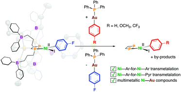 Graphical abstract: Competitive gold/nickel transmetalation