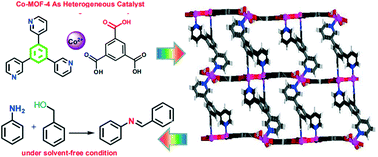 Graphical abstract: Structures and catalytic oxidative coupling reaction of four Co-MOFs modified with R-isophthalic acid (R [[double bond, length as m-dash]] H, OH and COOH) and trigonal ligands