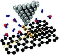 Graphical abstract: Monitoring the active sites for the hydrogen evolution reaction at model carbon surfaces