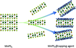 Graphical abstract: Molecular stabilization of chemically exfoliated bare MnPS3 layers