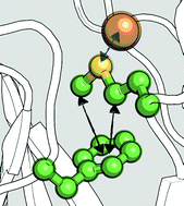 Graphical abstract: On the roles of methionine and the importance of its microenvironments in redox metalloproteins