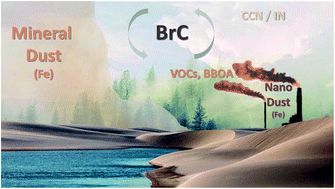 Graphical abstract: Aging of atmospheric aerosols and the role of iron in catalyzing brown carbon formation