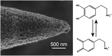 Graphical abstract: Carbon nanospike coated nanoelectrodes for measurements of neurotransmitters