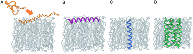 Graphical abstract: Spiers Memorial Lecture: Analysis and de novo design of membrane-interactive peptides