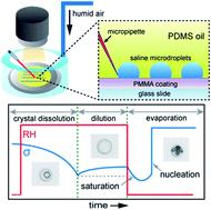 Graphical abstract: Nucleation in sessile saline microdroplets: induction time measurement via deliquescence–recrystallization cycling