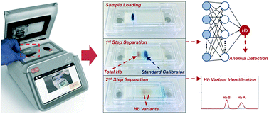 Graphical abstract: Point-of-care microchip electrophoresis for integrated anemia and hemoglobin variant testing