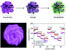 Graphical abstract: A novel rose-with-thorn ternary MoS2@carbon@polyaniline nanocomposite as a rechargeable magnesium battery cathode displaying stable capacity and low-temperature performance