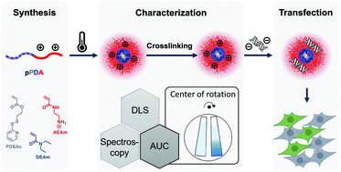 Graphical abstract: Core-crosslinked, temperature- and pH-responsive micelles: design, physicochemical characterization, and gene delivery application