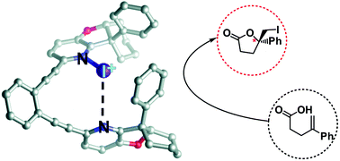 Graphical abstract: Are bis(pyridine)iodine(i) complexes applicable for asymmetric halogenation?