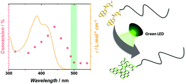 Graphical abstract: Green light LED activated ligation of a scalable, versatile chalcone chromophore