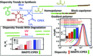 Graphical abstract: Tuning the molecular weight distributions of vinylketone-based polymers using RAFT photopolymerization and UV photodegradation