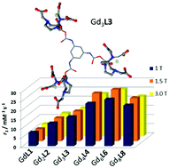 Graphical abstract: Optimizing the relaxivity at high fields: systematic variation of the rotational dynamics in polynuclear Gd-complexes based on the AAZTA ligand