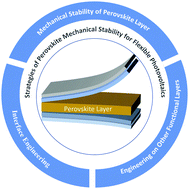 Graphical abstract: Strategies of perovskite mechanical stability for flexible photovoltaics