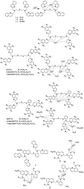 Graphical abstract: Recent progress in cadmium fluorescent and colorimetric probes