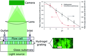 Graphical abstract: Hydrogel gratings with patterned analyte responsive dyes for spectroscopic sensing