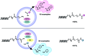 Graphical abstract: Highly efficient on-DNA amide couplings promoted by micelle forming surfactants for the synthesis of DNA encoded libraries