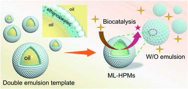 Graphical abstract: Engineering proteinaceous colloidosomes as enzyme carriers for efficient and recyclable Pickering interfacial biocatalysis