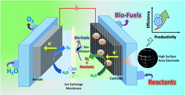 Graphical abstract: Developing reactors for electrifying bio-methanation: a perspective from bio-electrochemistry