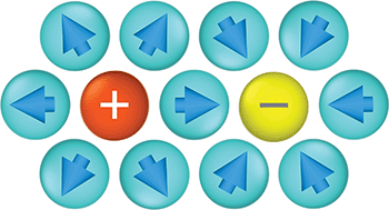 Graphical abstract: Structure and dynamics of ions in dipolar solvents: a coarse-grained simulation study