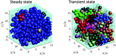 Graphical abstract: Shear thickening behavior in dense repulsive and attractive suspensions of hard spheres