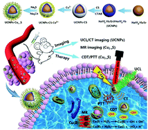 Graphical abstract: Engineering Cu2−xS-conjugated upconverting nanocomposites for NIR-II light-induced enhanced chemodynamic/photothermal therapy of cancer