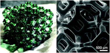 Graphical abstract: 3D printed architected conducting polymer hydrogels