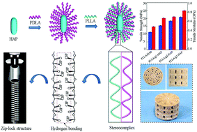 Graphical abstract: Construction of a stereocomplex between poly(d-lactide) grafted hydroxyapatite and poly(l-lactide): toward a bioactive composite scaffold with enhanced interfacial bonding