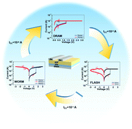 Graphical abstract: A two-dimensional polymer memristor based on conformational changes with tunable resistive switching behaviours