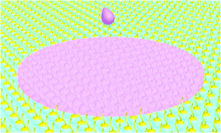 Graphical abstract: Soft template-assisted self-assembly: a general strategy toward two-dimensional molecular crystals for high-performance organic field-effect transistors