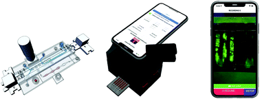 Graphical abstract: Smartphone clip-on instrument and microfluidic processor for rapid sample-to-answer detection of Zika virus in whole blood using spatial RT-LAMP