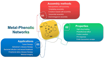 Graphical abstract: Applications of metal–phenolic networks in nanomedicine: a review