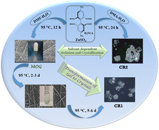 Graphical abstract: In situ conversion of a MOG to a crystalline MOF: a case study on solvent-dependent gelation and crystallization