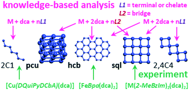 Graphical abstract: Topological motifs in dicyanamides of transition metals