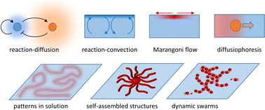 Graphical abstract: Spatial programming of self-organizing chemical systems using sustained physicochemical gradients from reaction, diffusion and hydrodynamics