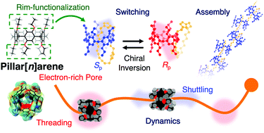 Graphical abstract: Noncovalently bound and mechanically interlocked systems using pillar[n]arenes